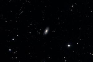 IC1231