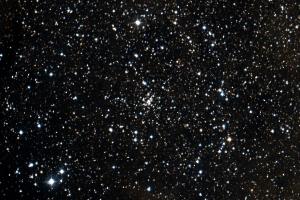 IC1310