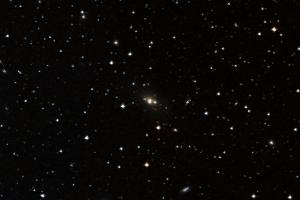 IC1365