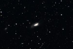 NGC6239