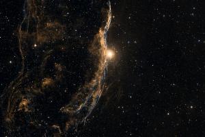 Western Veil (Witch's Broom)