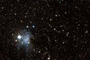 NGC6991