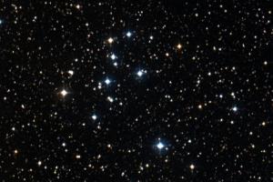 NGC7063