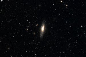 Deer Lick & Stephan's Quintet