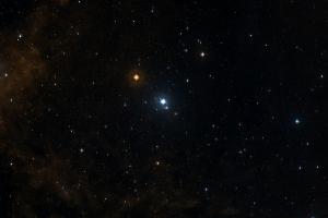 Squid,Flying Bat Nebula