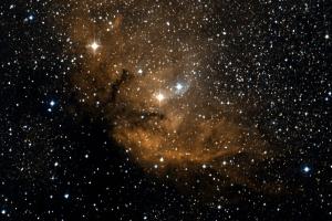 Tulip Nebula